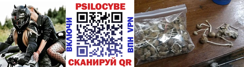 Псилоцибиновые грибы Magic Shrooms  сайты даркнета формула  Лениногорск 